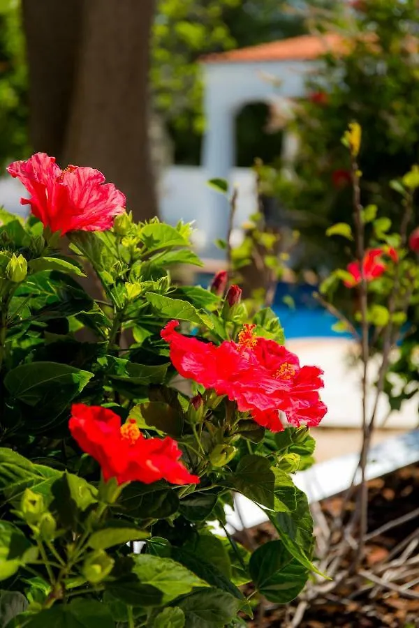 Casa Luisandra Boutique Hotel B&B Praia Da Luz